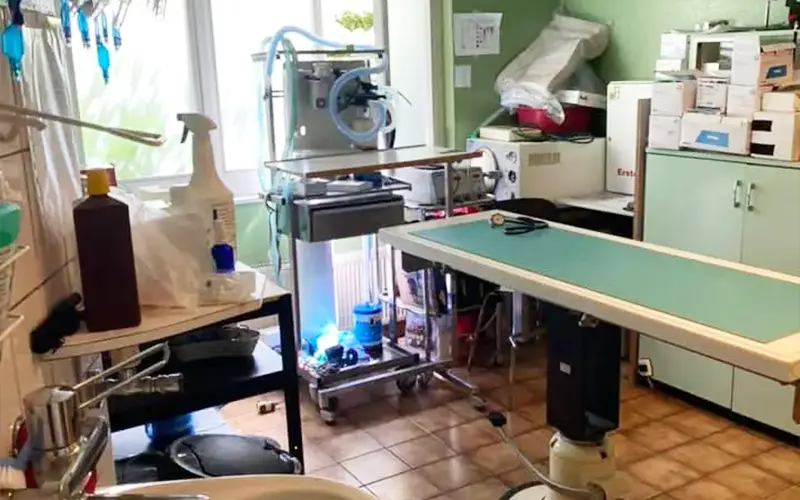 chirurgie tissu mou arche en ville cabinet veterinaire vevey
